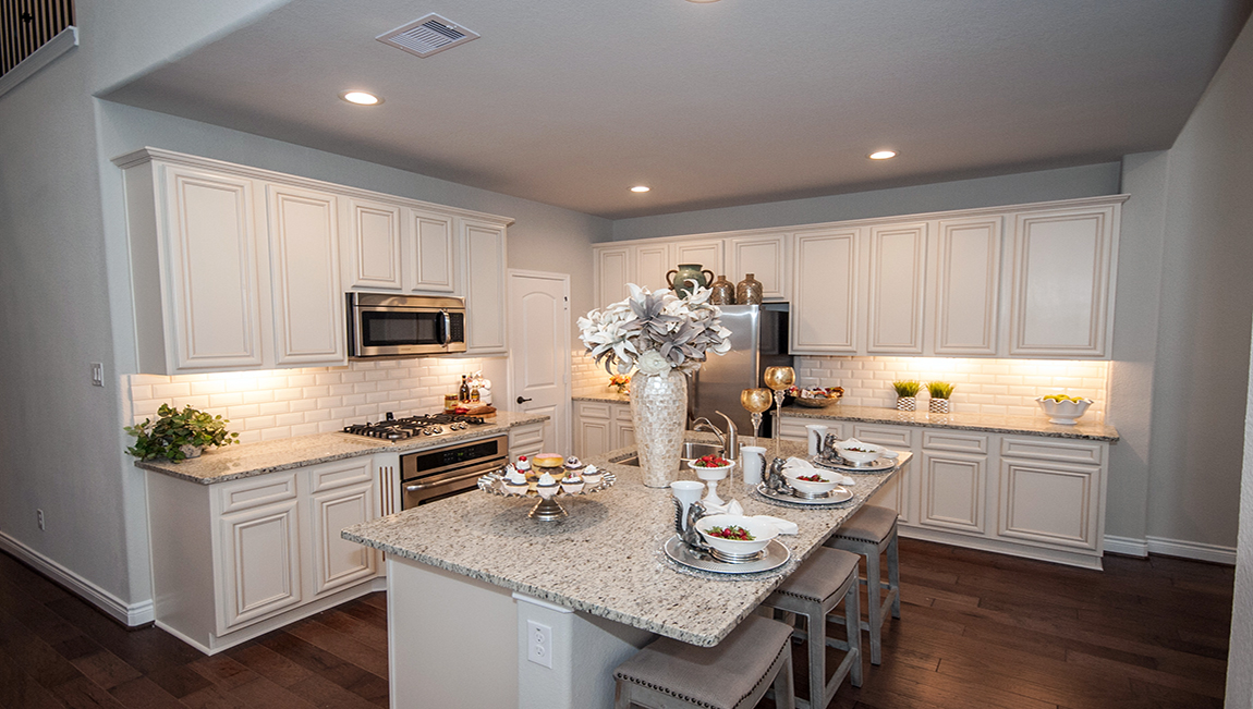 Shadow Lake Forest FirstWalk