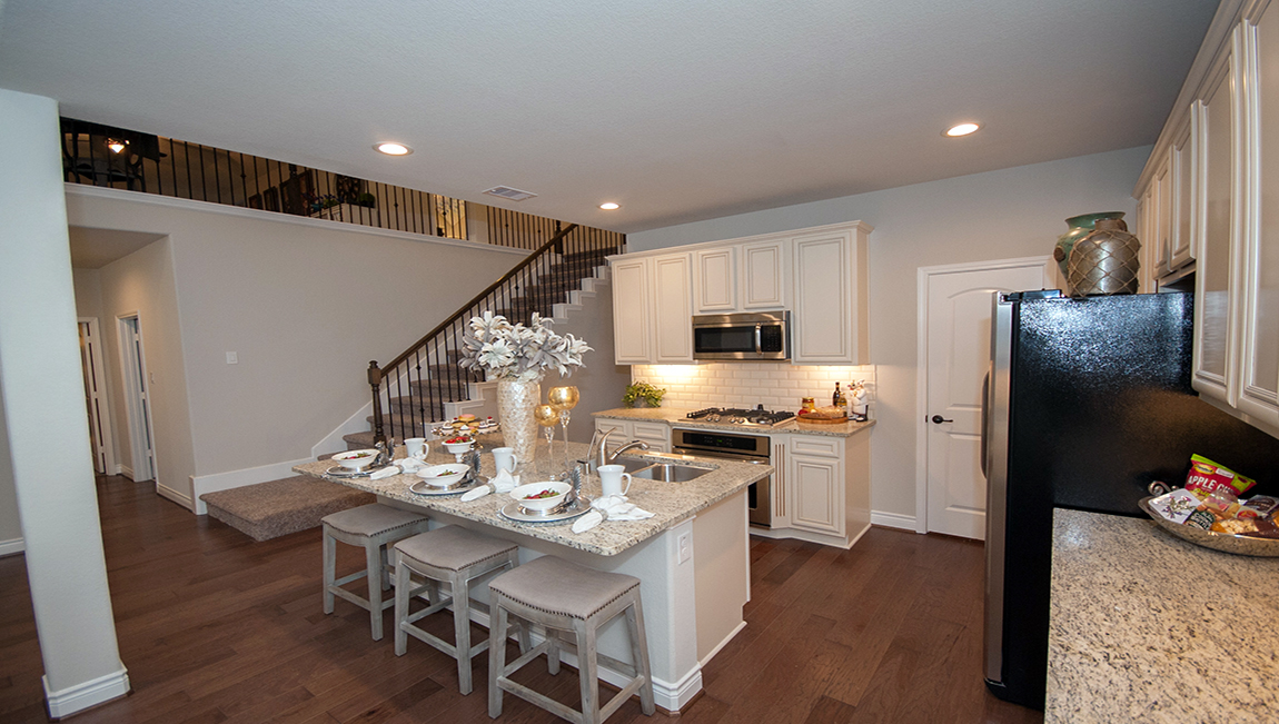 Shadow Lake Forest FirstWalk