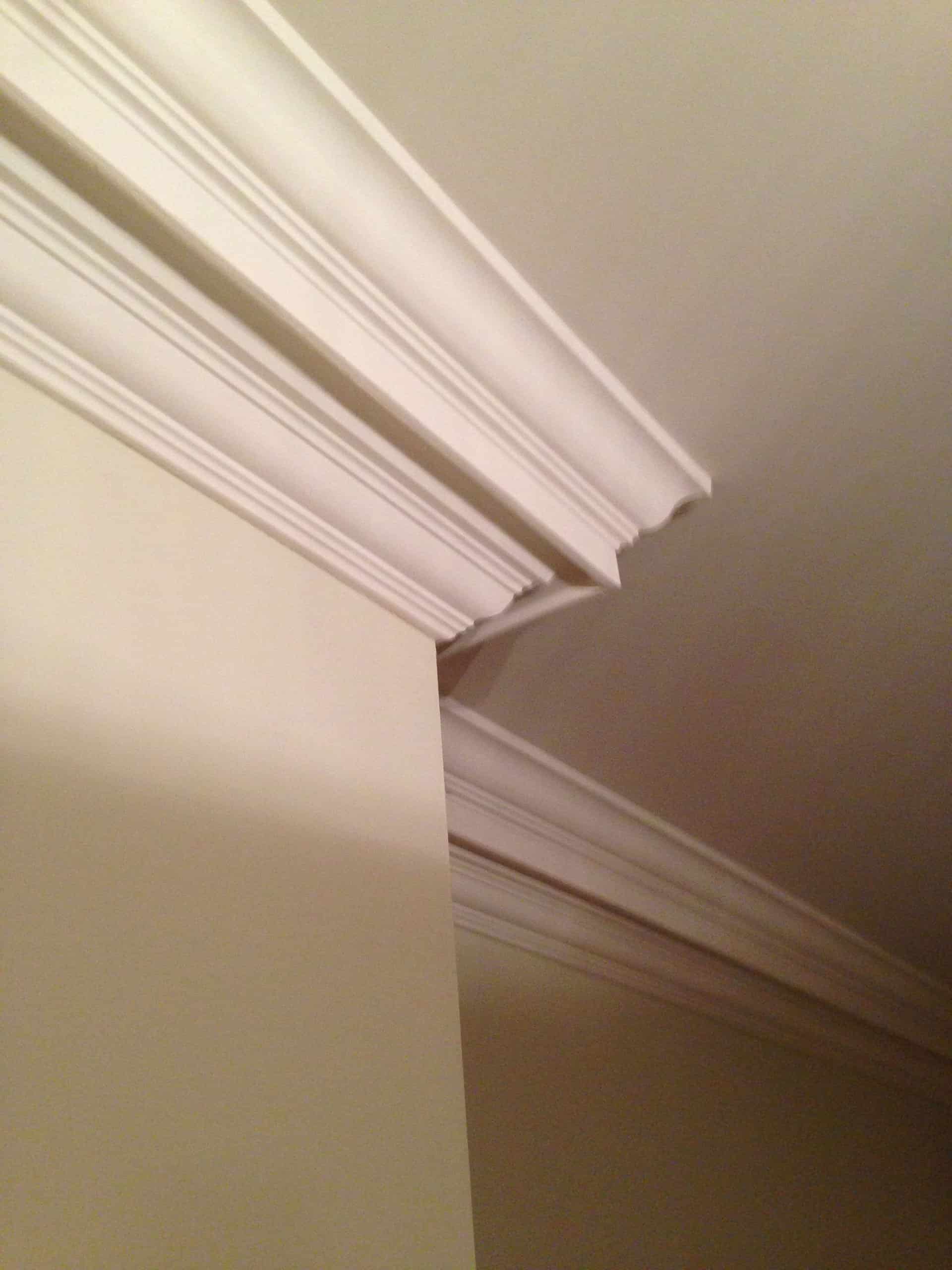 Gallery Firtree Building Services Building Services