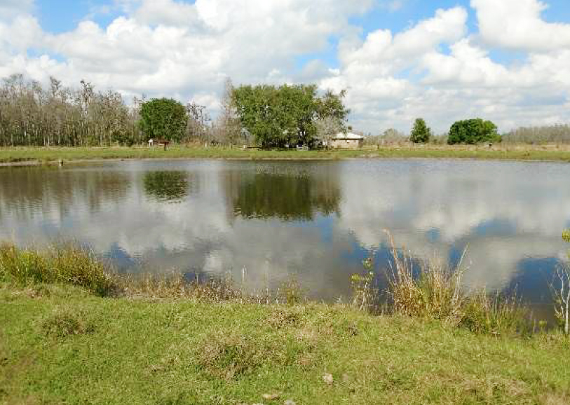 Davis Ranch in Hardee County Fischbach Land Company