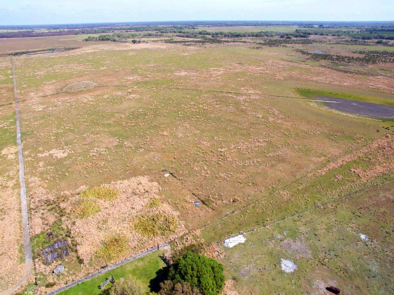 Arcadia 82.19 +/ Acre Retreat & Ranch, Arcadia, FL Fischbach Land