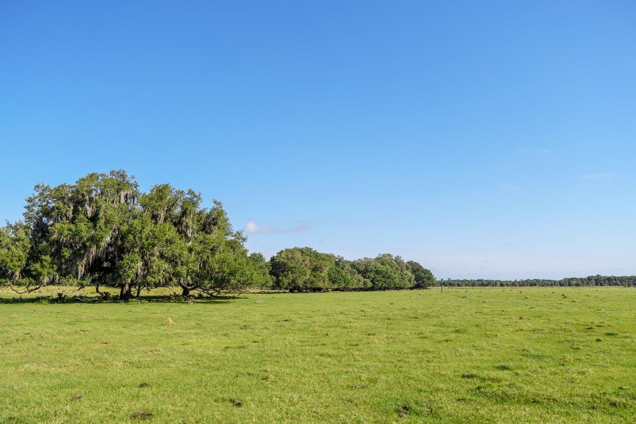 CR 39 Pinecrest Ranch 116 +/ Acres, Lithia, FL Fischbach Land Company