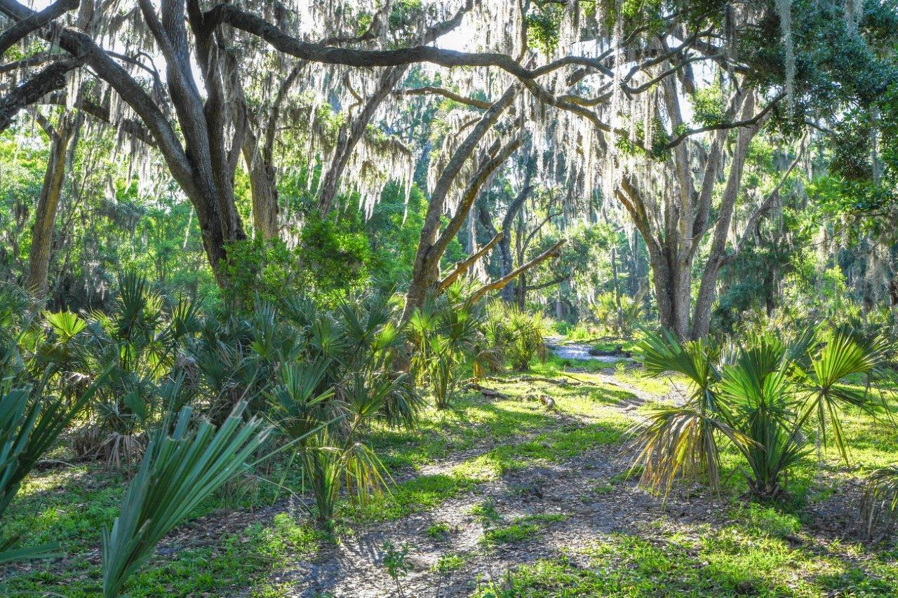 CR 39 Pinecrest Ranch 116 +/ Acres, Lithia, FL Fischbach Land Company