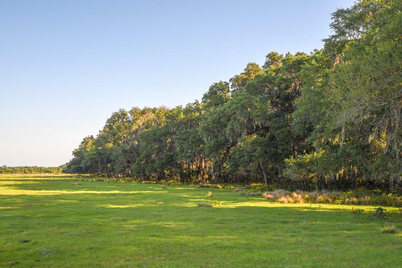 CR 39 Pinecrest Ranch 116 +/ Acres, Lithia, FL Fischbach Land Company