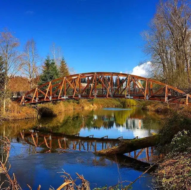 Heating & Air Conditioning Services, Boilers, & Heat Pumps, In Bothell