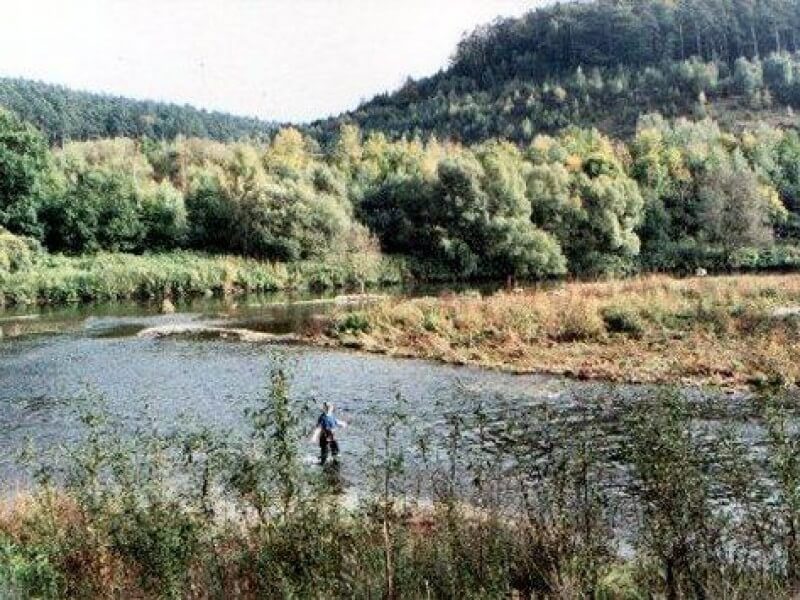 Angeln an der Lahn und Ohm l