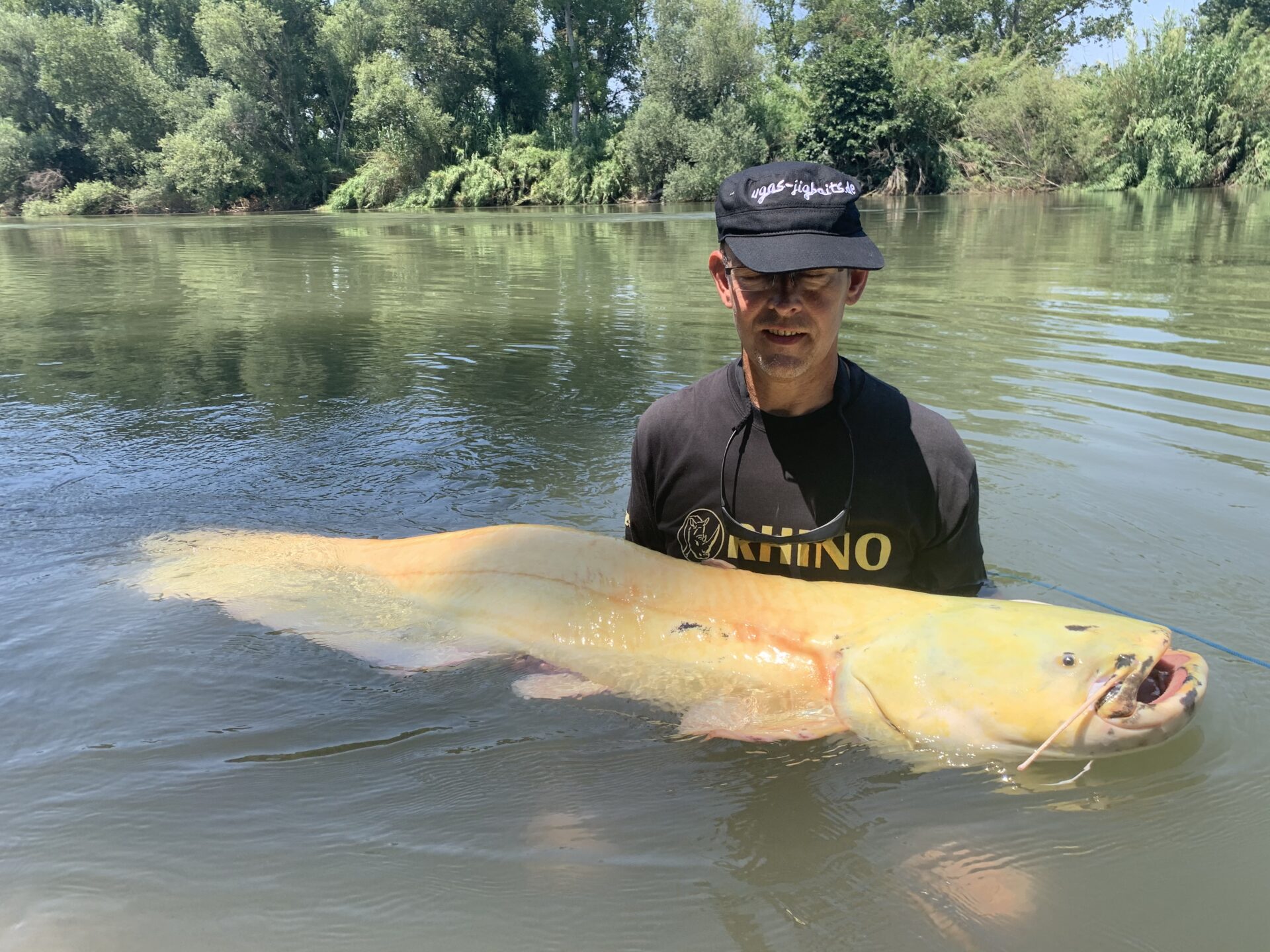 Wieder auf Wels in Mequinenza FISCH & FANG