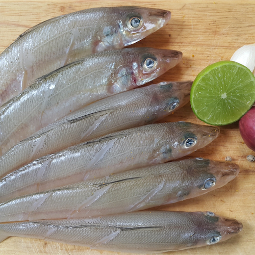 沙尖魚（沙錐, 500g） Fish Delivery UK