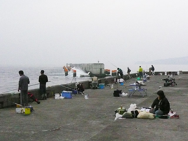 和歌山県の釣り場 和歌山北港海釣り公園 釣り場サイトFISH&MAPS