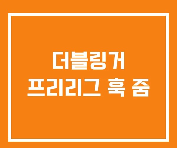 더블링거 프리리그 훅 줌