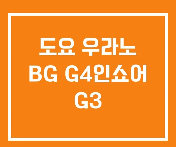 도요 우라노 BG G4인쇼어 G3