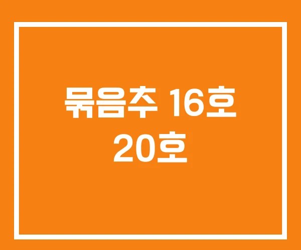 묶음추 16호 20호