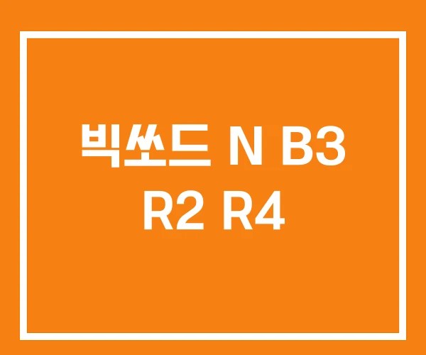 빅쏘드 N B3 R2 R4