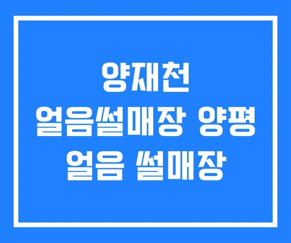 양재천 얼음썰매장 양평 얼음 썰매장