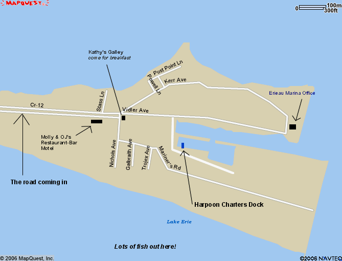 Lake Erie Pickerel Fishing Erieau Fishing Harpoon Charters