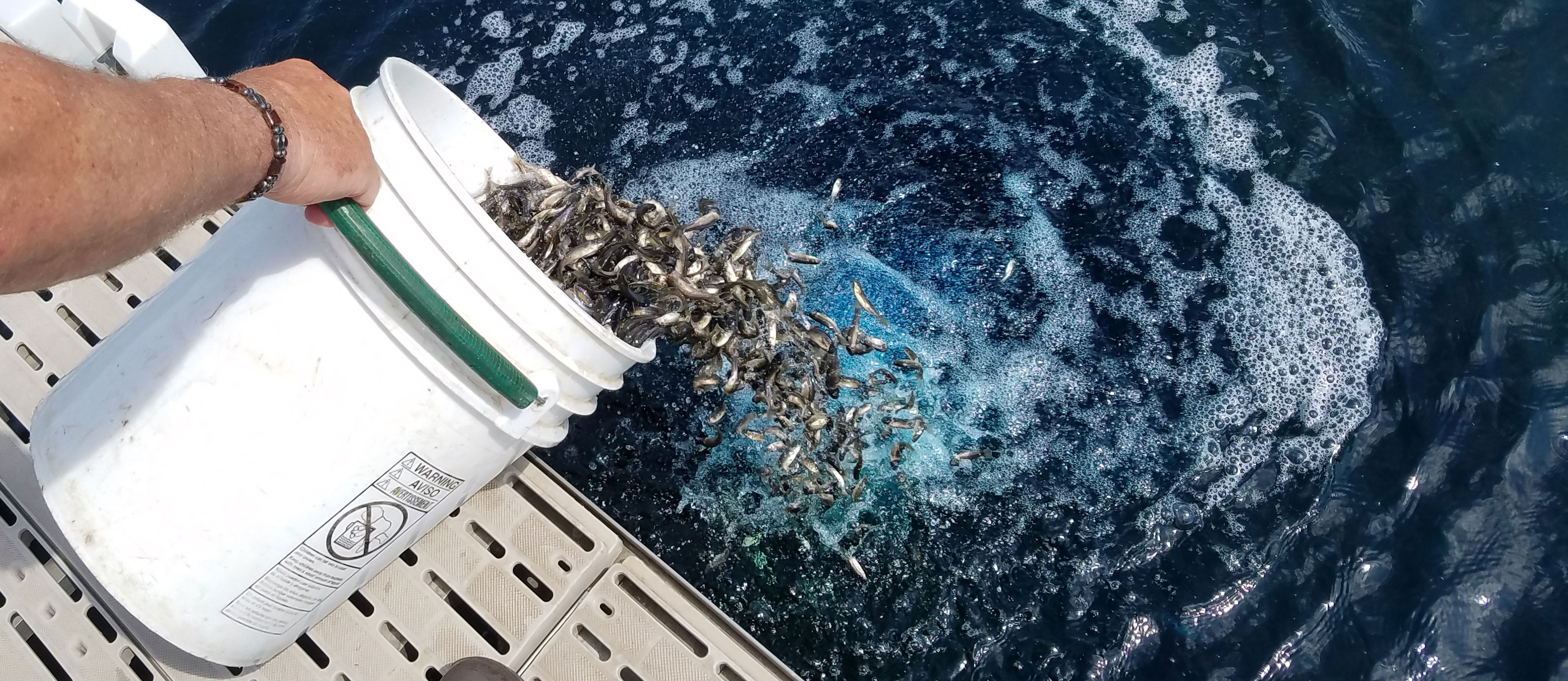 Contact Us 10,000 Lakes Aquaculture, Inc.