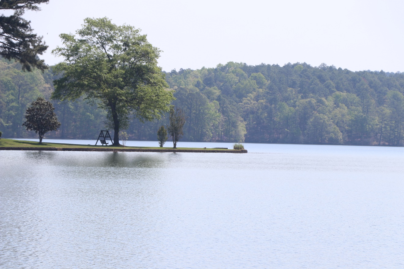Lake Spotlight Lake Martin Fish Alabama Alabama Bass Trail