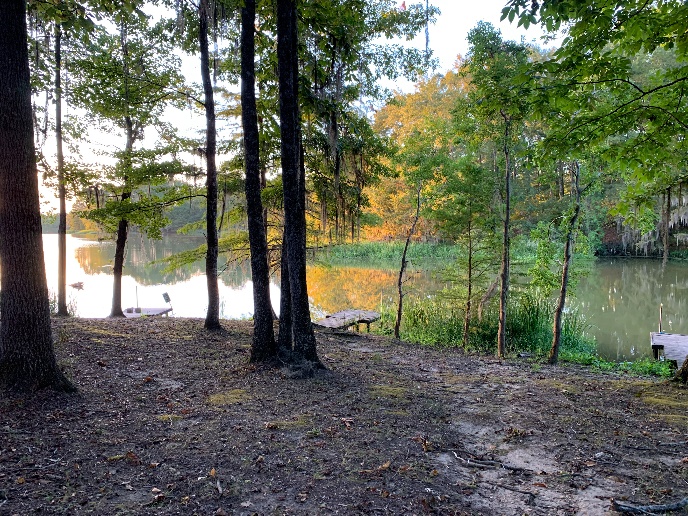 Roland Cooper State Park Fish Alabama Alabama Bass Trail