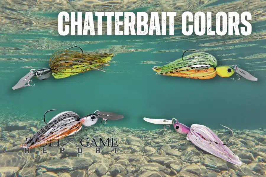 Chatterbait Fishing Techniques and Tips for Bigger Bass Fish and Game Report