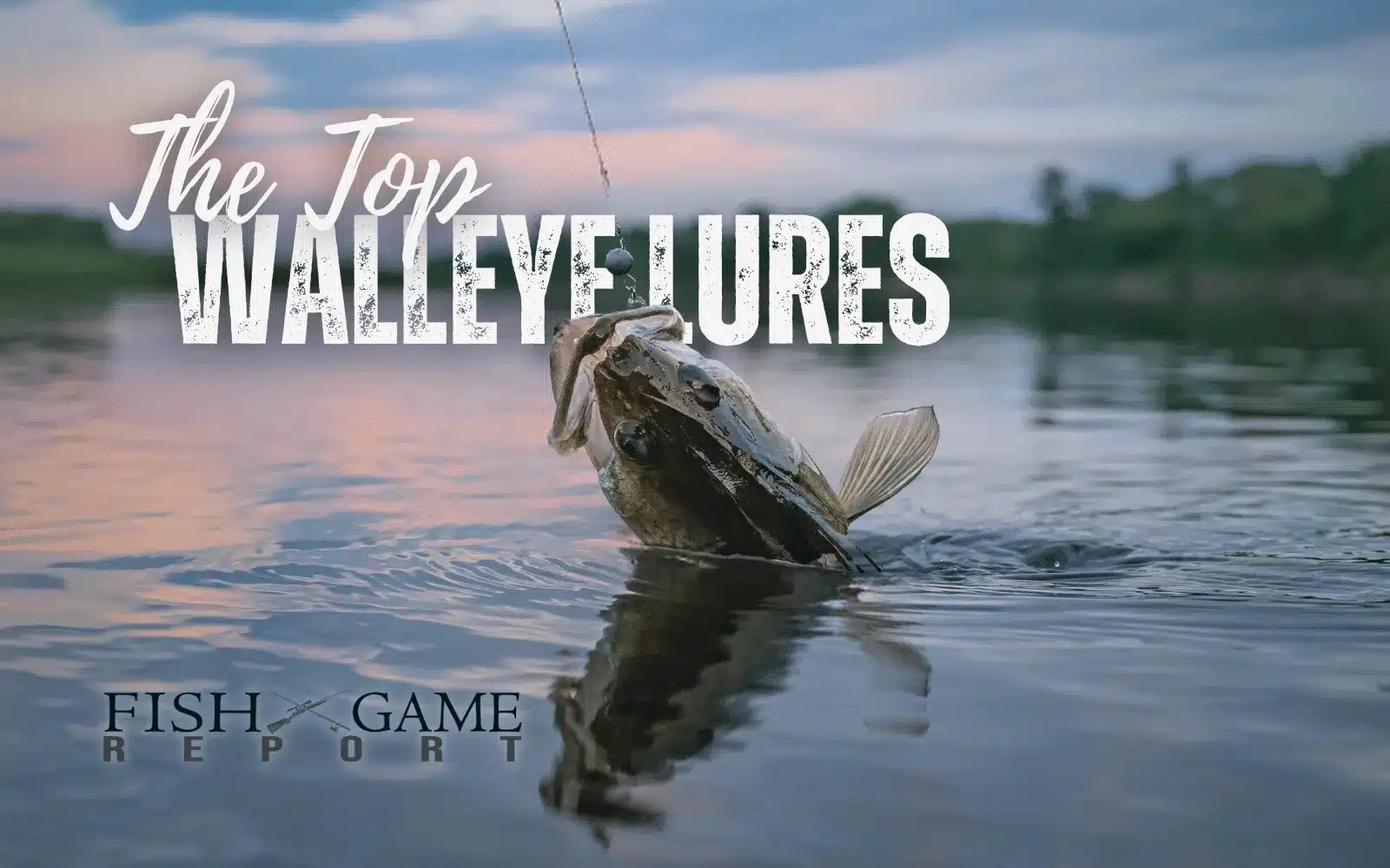 Top 8 Walleye Lures to Catch the Biggest Fish Fish and Game Report