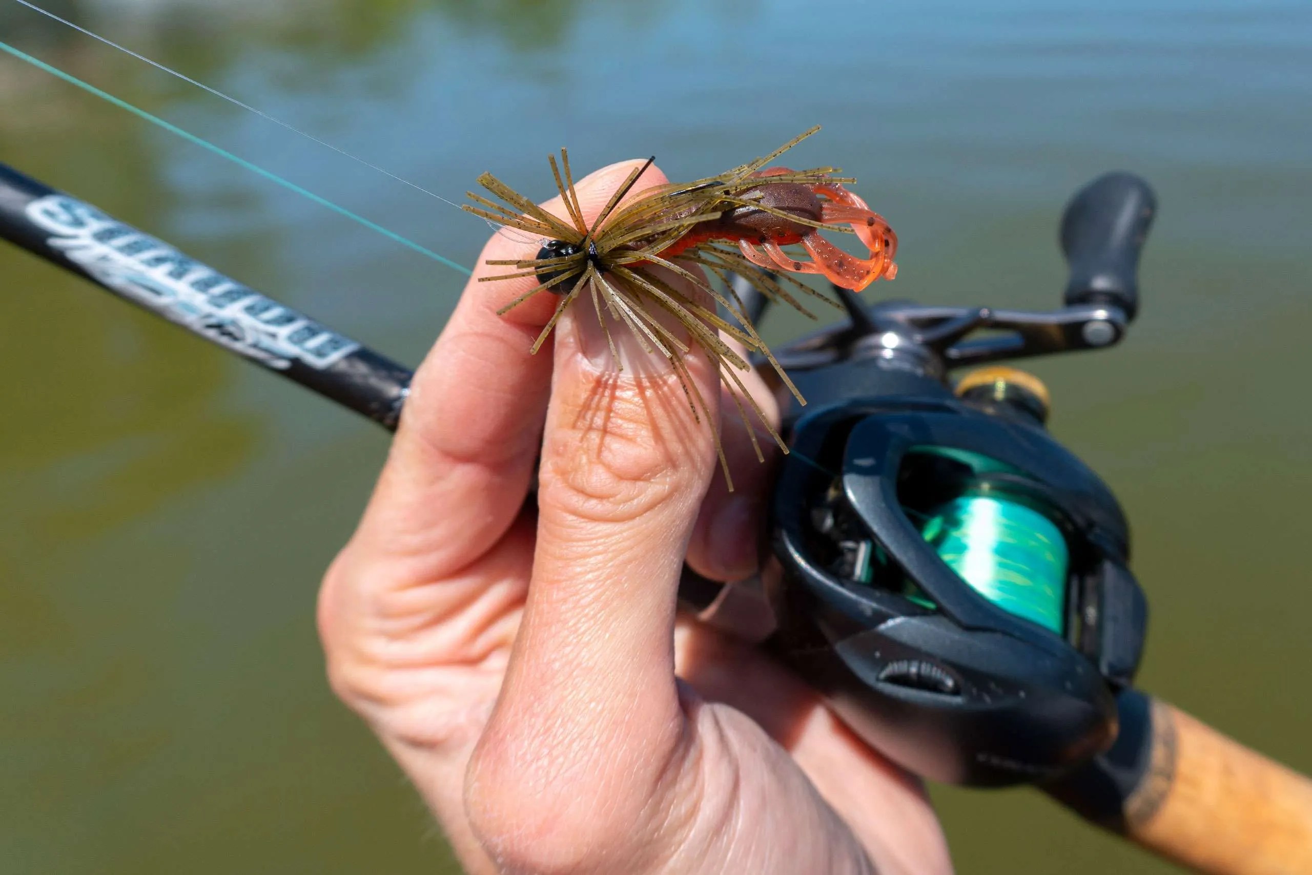 Should You Get A BFS Setup For Bass Fishing? Fish Anything