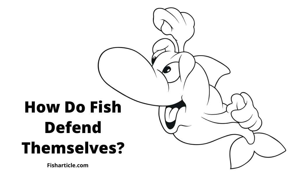 How Do Fish Defend Themselves? FishArticle