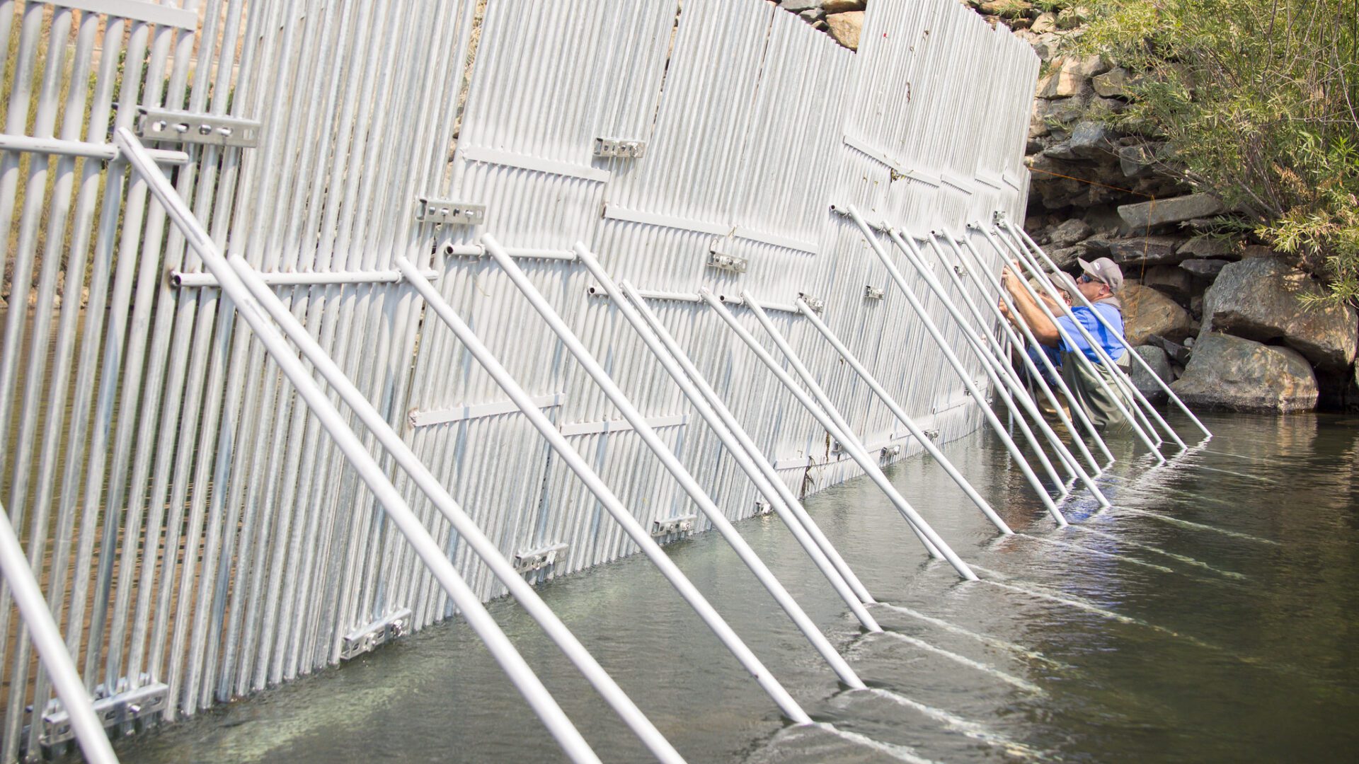 La Grange Rigid Weir FISHBIO Fisheries Consultants