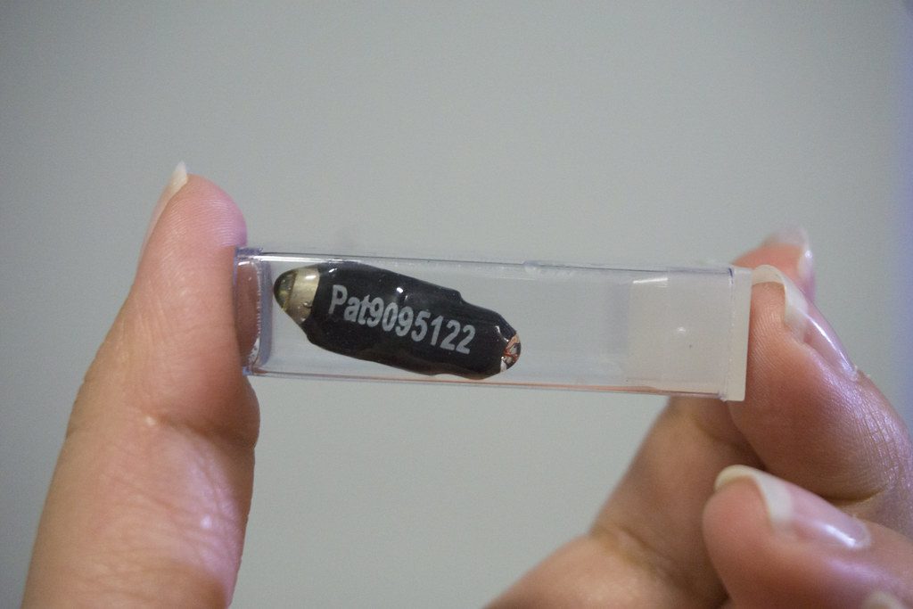 Acoustic Fish Tags Document Predation FISHBIO Fisheries Consultants