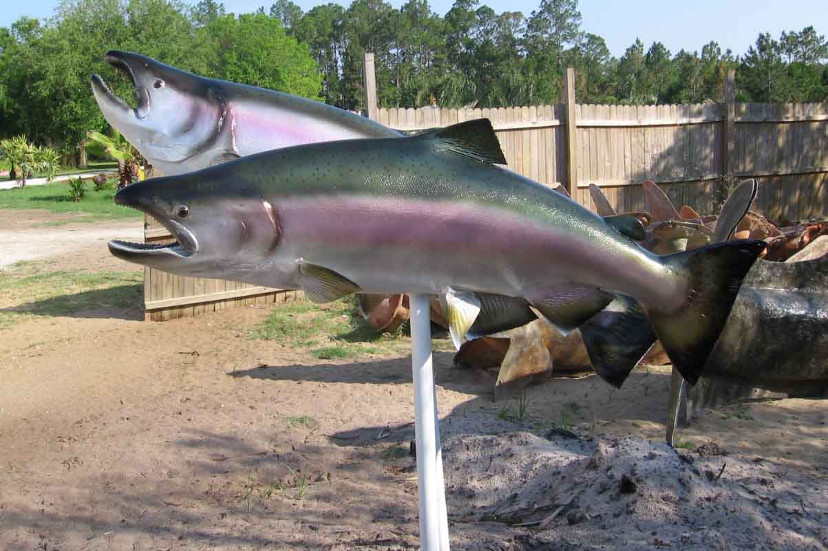 Trout and Salmon Blanks, Lake Helen, FL
