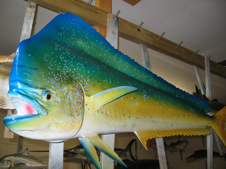 Fish Blanks, Lake Helen, FL Unique Species Inc.