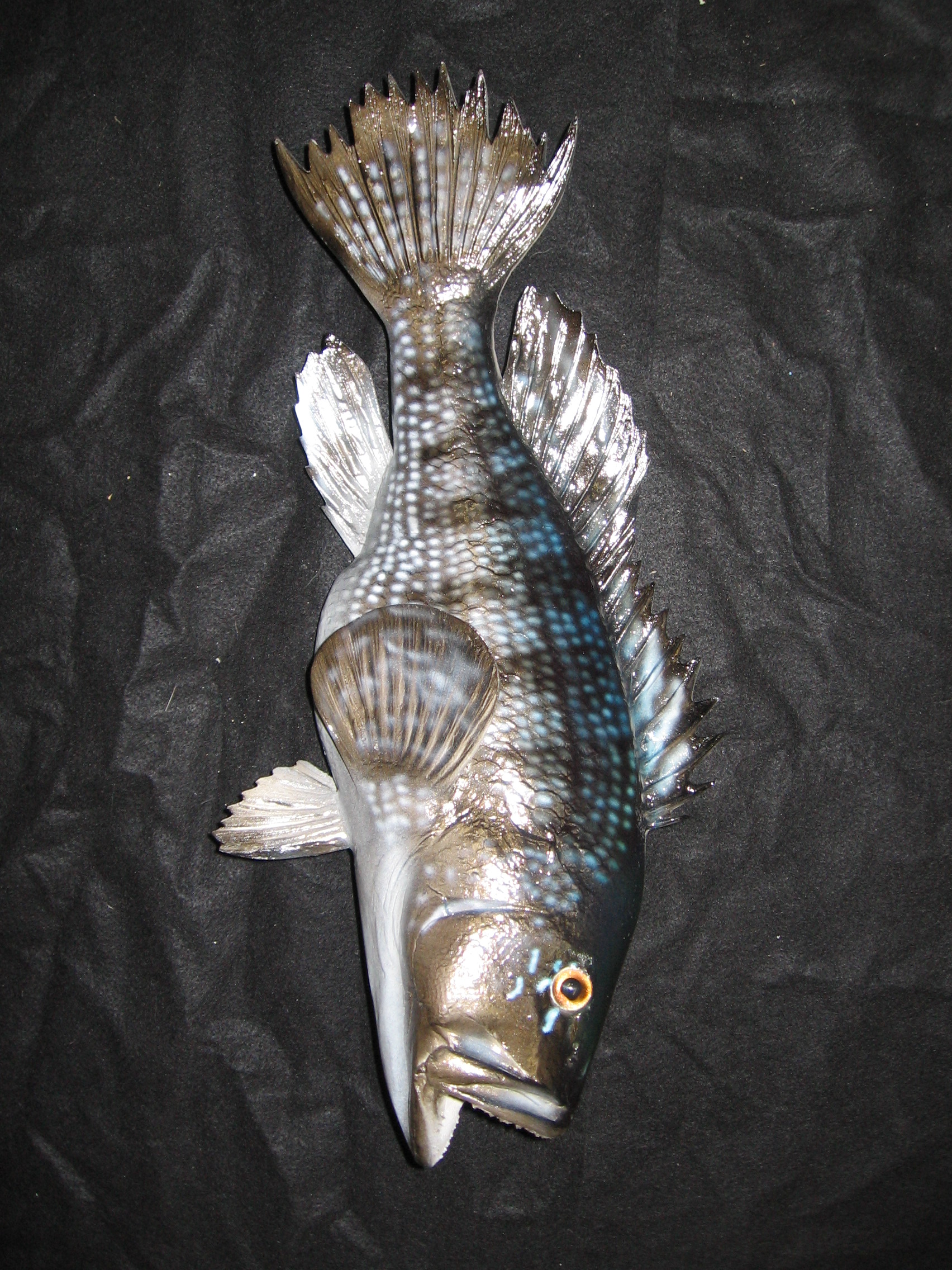 Fish Blanks, Lake Helen, FL Unique Species Inc.