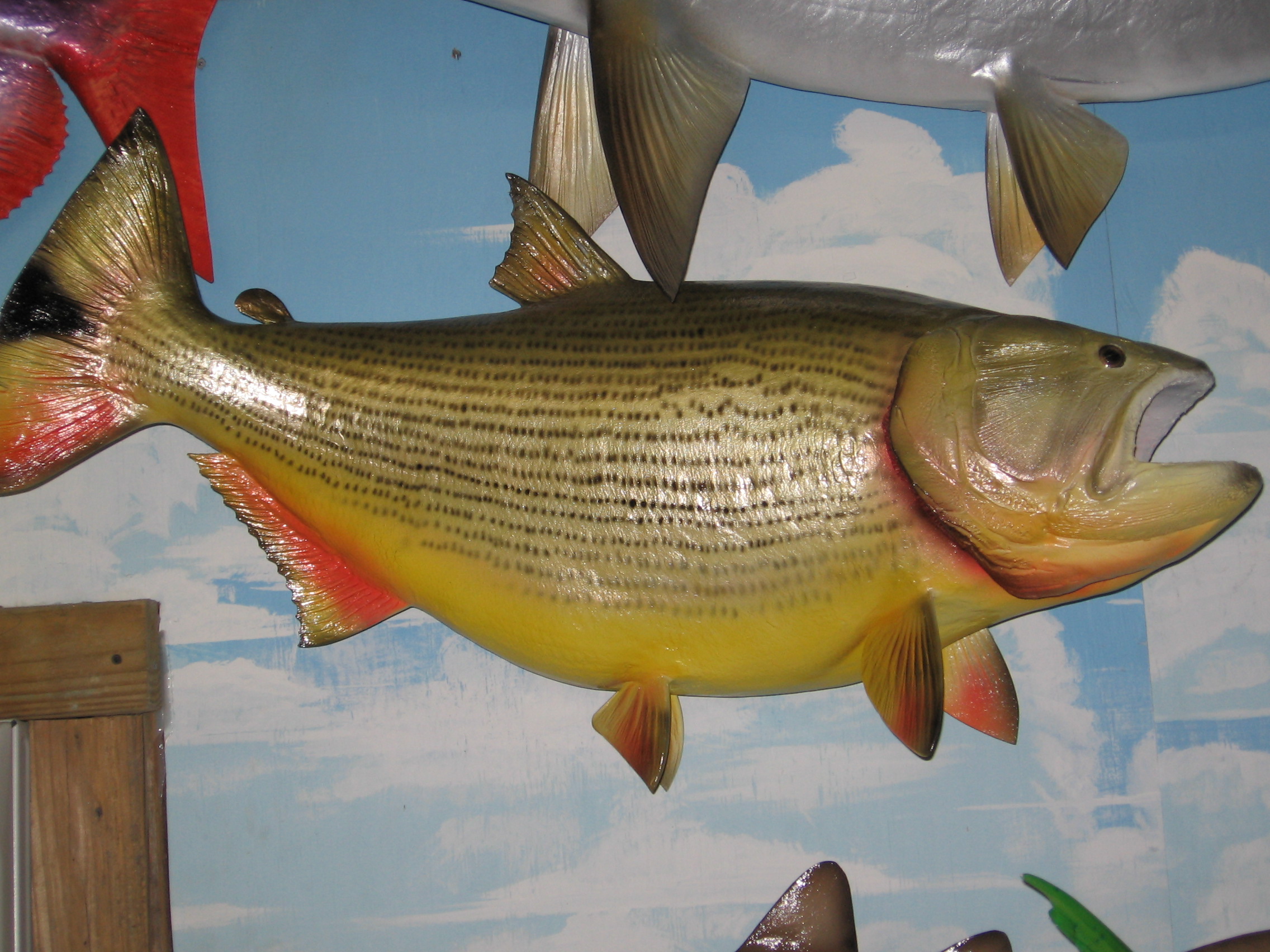 Fish Replica, Lake Helen, FL Unique Species Inc.