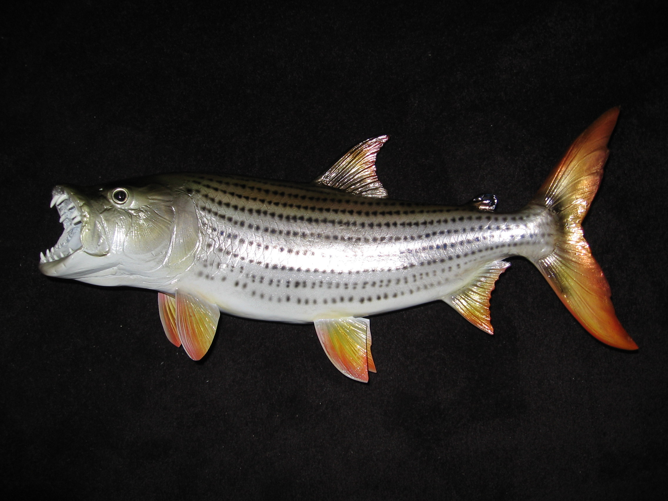 Fish Replica, Lake Helen, FL Unique Species Inc.