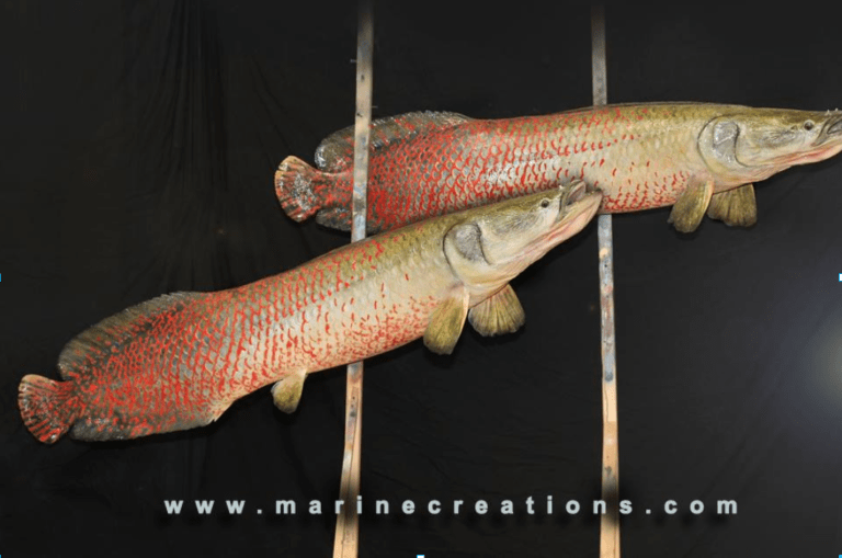 Fish Replica, Lake Helen, FL Unique Species Inc.