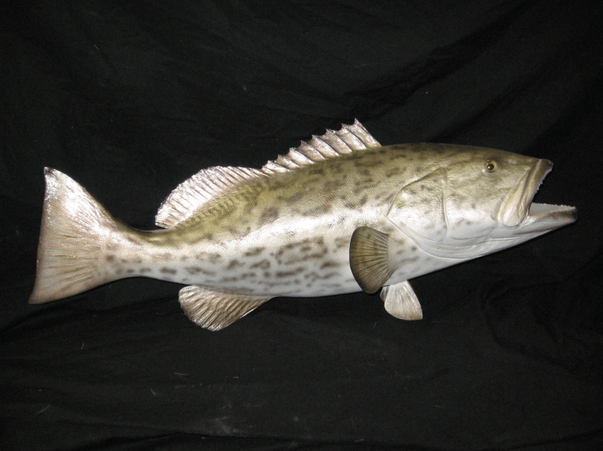 Fish Replica, Lake Helen, FL Unique Species Inc.