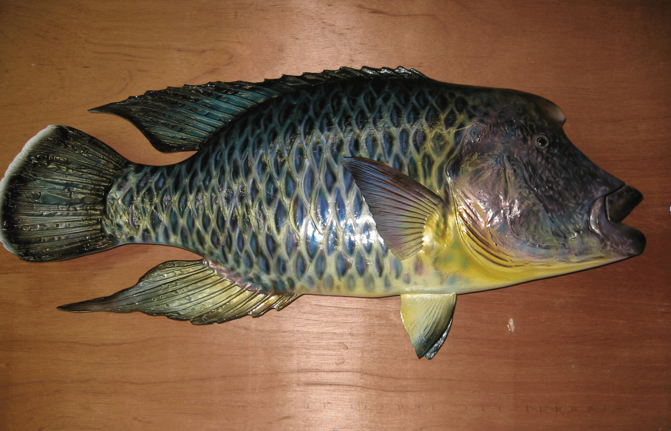 Fish Replica, Lake Helen, FL Unique Species Inc.