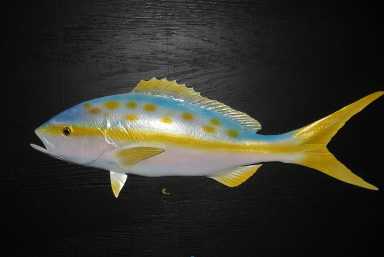 Fish Replica, Lake Helen, FL Unique Species Inc.