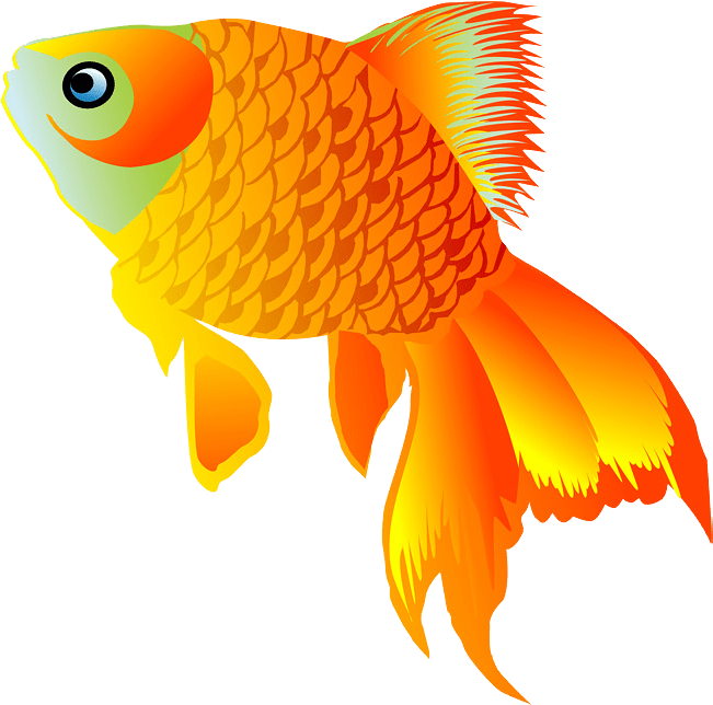 Play the Fishbowl Game (aka Salad Bowl) Online & Free