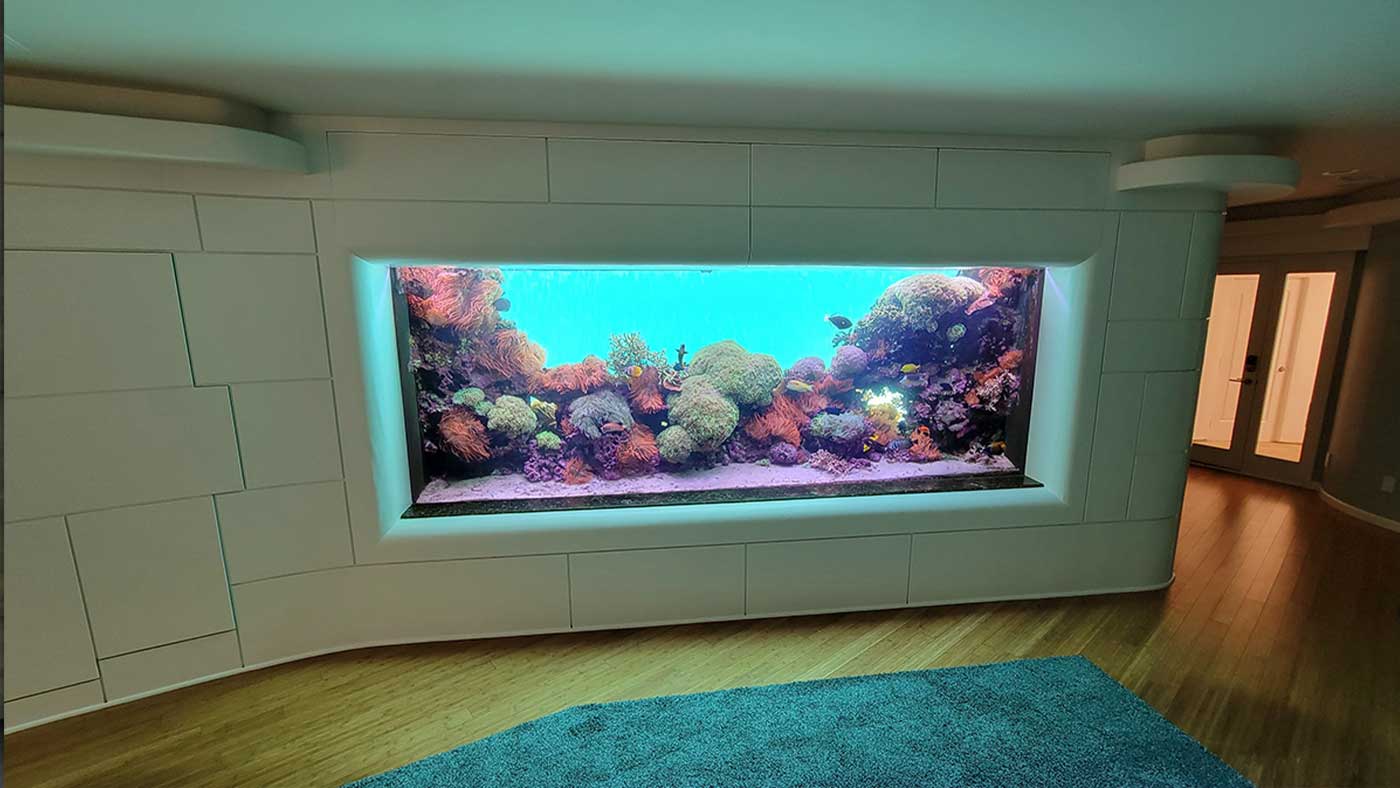 Portfolio of Remarkable Aquariums Los Angeles and Orange Co