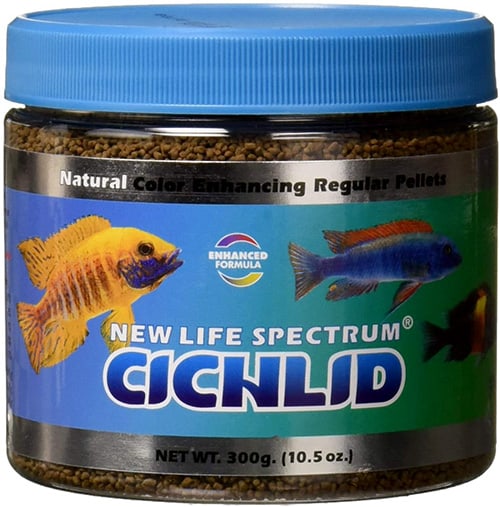 How Often To Feed Cichlids And Three Best Foods For Them Fish Caring