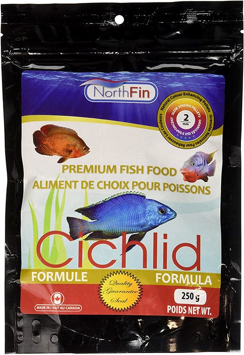 How Often To Feed Cichlids And Three Best Foods For Them Fish Caring