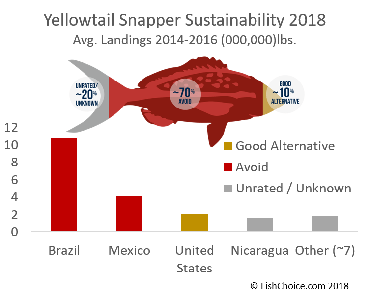 Red Grouper Nutritional Information Besto Blog