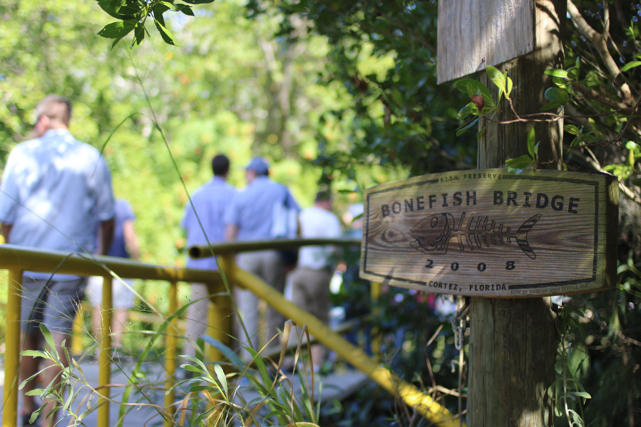 Donation Fish Cortez