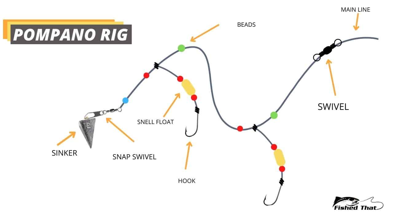 Surfcasting 101 A Beginner's Guide to Surf Fishing Fished That
