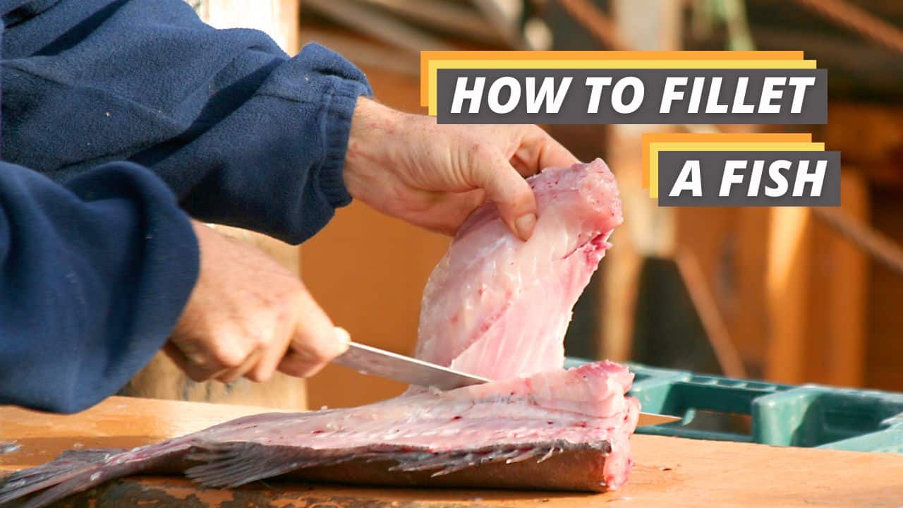 How to Fillet a Fish (Salmon, Walleye, and More!) Fished That