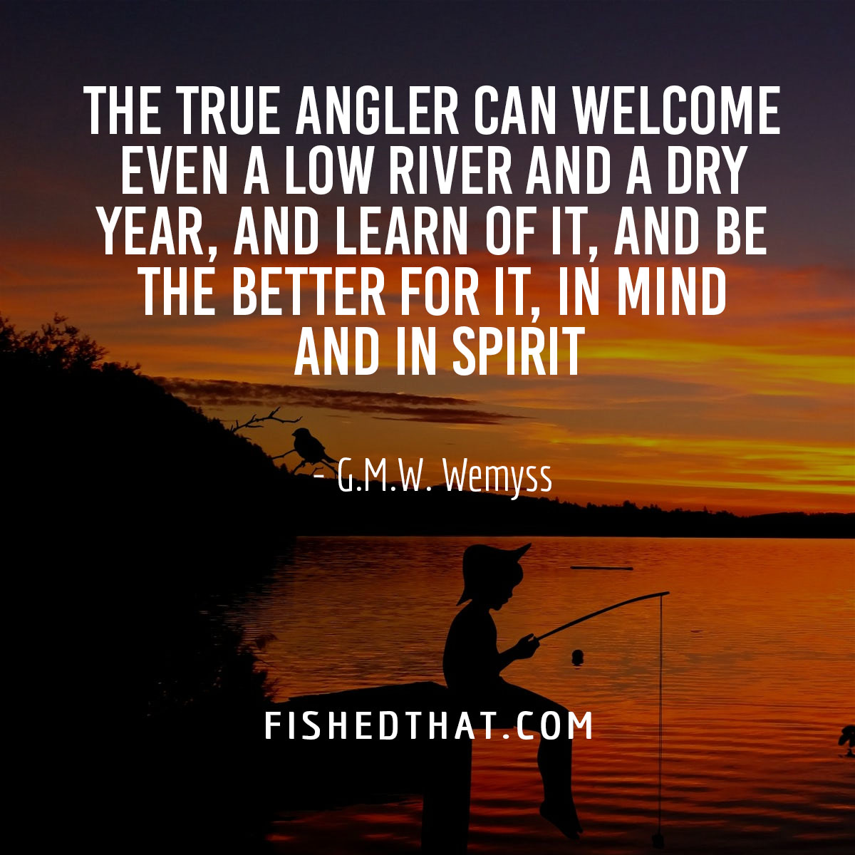 100+ Best Fishing Quotes & Fishing Sayings Fished That
