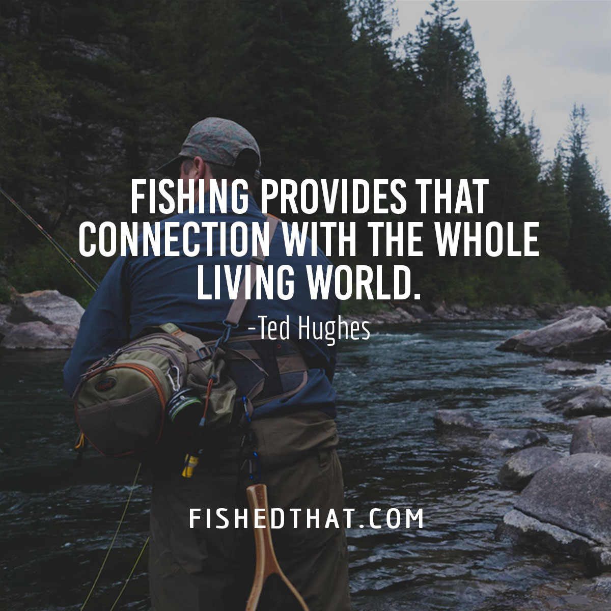 100+ Best Fishing Quotes & Fishing Sayings Fished That