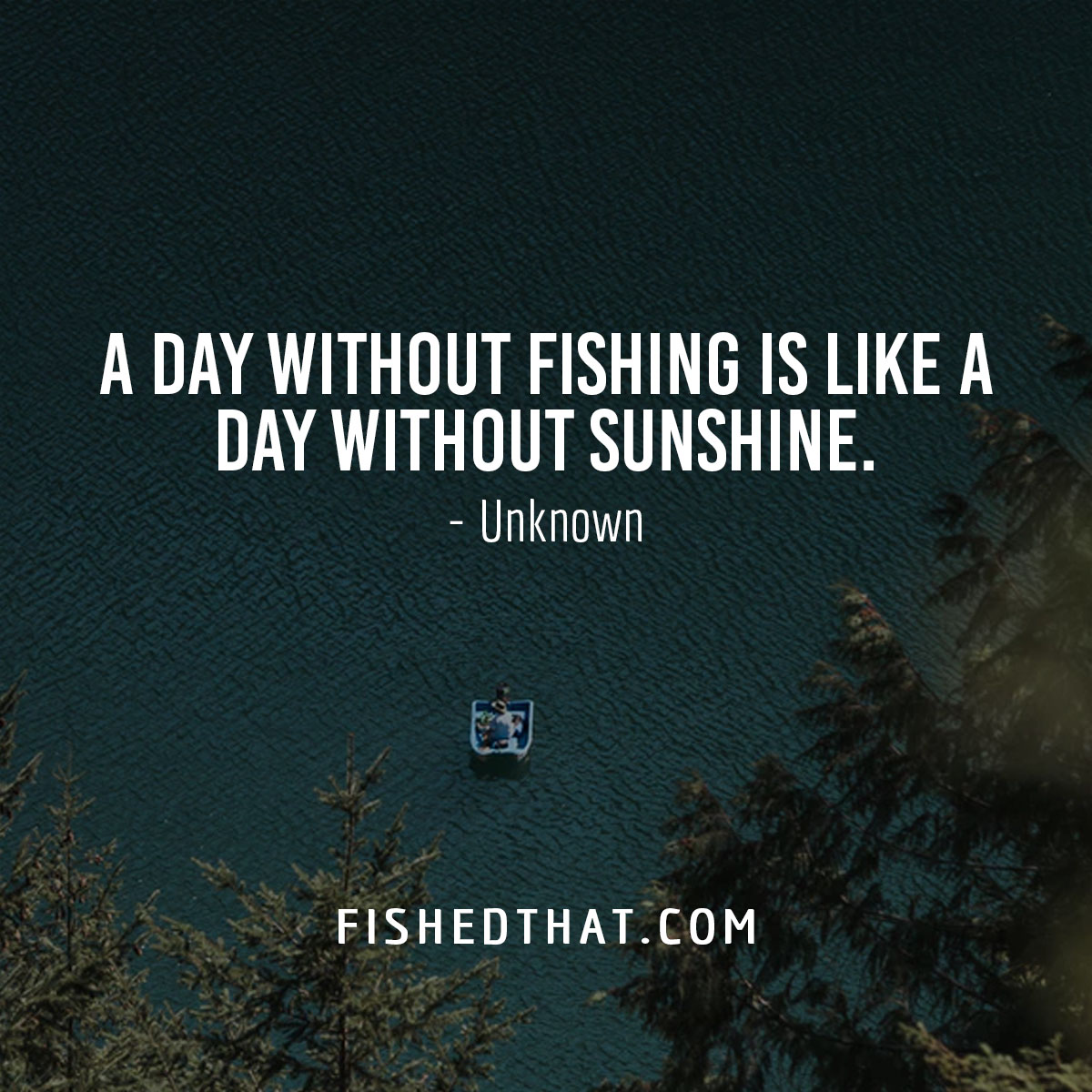 100+ Best Fishing Quotes & Fishing Sayings Fished That