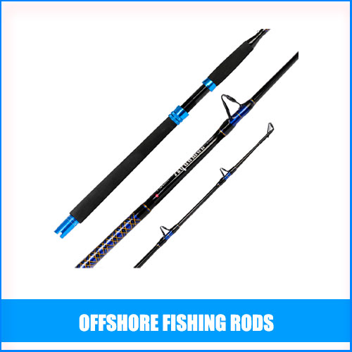 TOP 13 Offshore Fishing Rods Buying Guide & Reviews 2023