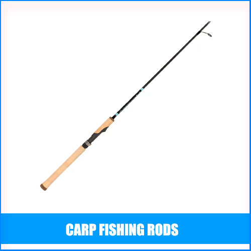 Best Carp Fishing Rods FisherCave Fishing Tips & Fishing Gear